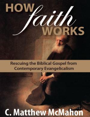Cover of the book How Faith Works: Rescuing the Biblical Gospel from Contemporary Evangelicalism by C. Matthew McMahon, Nathaniel Holmes