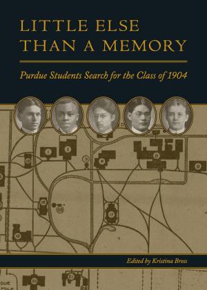Book cover of Little Else Than a Memory