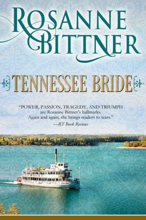 Cover of the book Tennessee Bride by Leigh Perry
