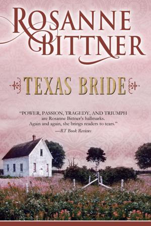 Cover of the book Texas Bride by Joel Achenbach, The Washington Post