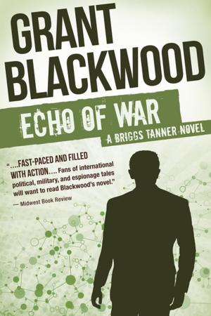 Cover of the book Echo of War by Jill Jones
