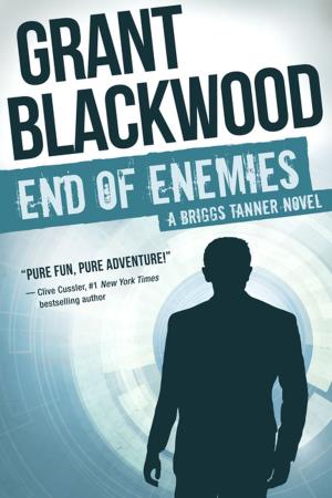 Cover of the book End of Enemies by Ellen Gilchrist