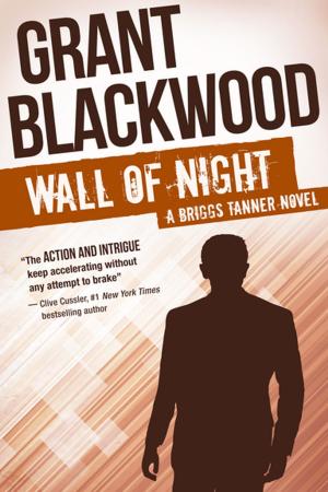 Cover of the book Wall of Night by Michael Allen Dymmoch