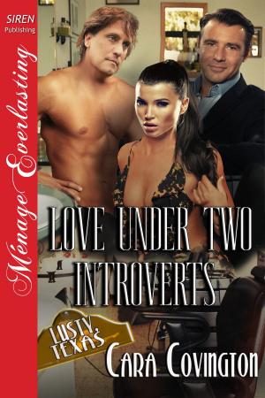 Cover of the book Love Under Two Introverts by Stormy Glenn
