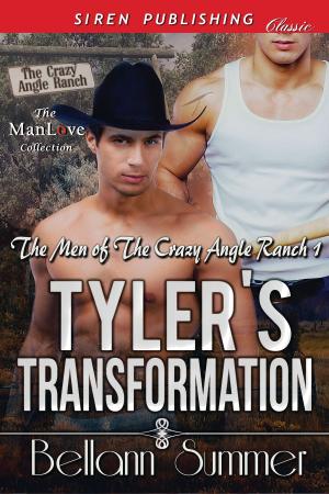Cover of the book Tyler's Transformation by Andi Aames