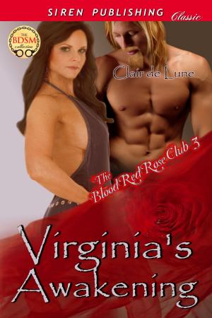 Cover of the book Virginia's Awakening by Jessica Frost