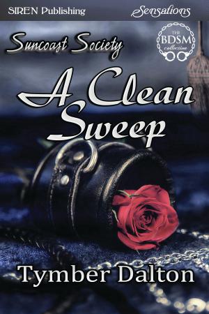 bigCover of the book A Clean Sweep by 
