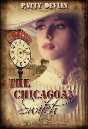 Cover of the book The Chicagoan Switch by Etta Stark