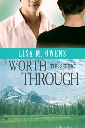 Cover of the book Worth the Seeing Through by KC Burn
