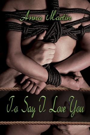 Cover of the book To Say I Love You by Jessica Skye Davies