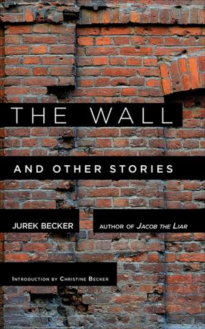 Cover of the book The Wall by Emma Silverman, Nicole Stumpf