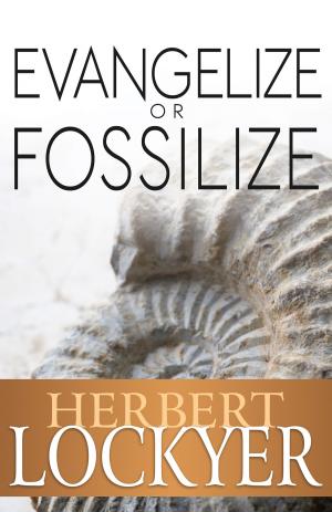 Cover of the book Evangelize or Fossilize by AmyK Hutchens
