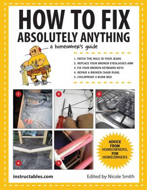 Cover of the book How to Fix Absolutely Anything by Diane Gilleland