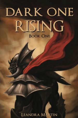 Book cover of Dark One Rising