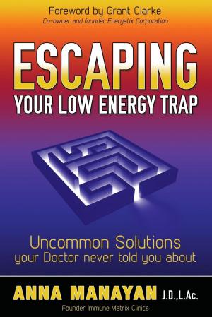 Cover of the book Escaping Your Low Energy Trap by David B. Hampton
