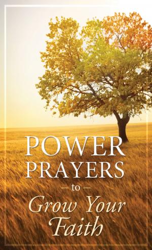 Book cover of Power Prayers to Grow Your Faith