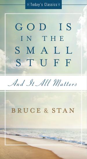 Book cover of God Is in the Small Stuff