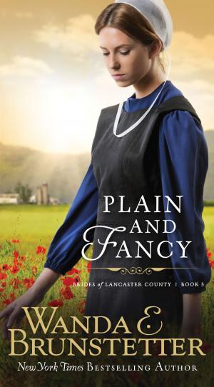 Cover of the book Plain And Fancy by Darlene Franklin, Cynthia Hickey, Elizabeth Ludwig, Dana Mentink, Candice Prentice, Janice Thompson