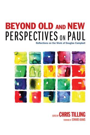 Cover of the book Beyond Old and New Perspectives on Paul by 