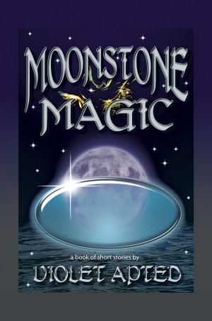 Book cover of Moonstone Magic