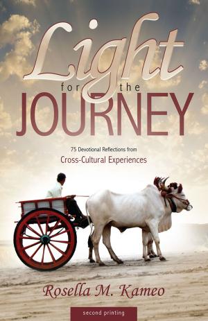 Cover of the book Light for the Journey by Steve Terrell