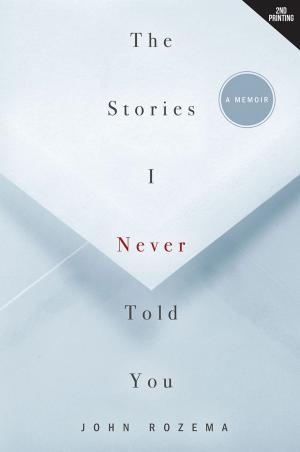 Cover of the book The Stories I Never Told You by Steve Schaefer