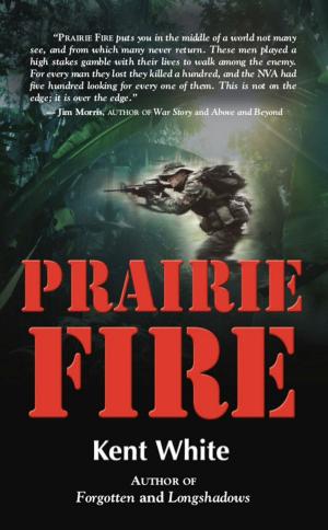 Cover of the book Prairie Fire by Jae Xerrano