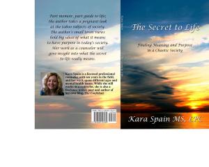 Book cover of The Secret to Life