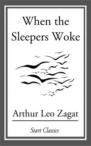 Cover of the book When the Sleepers Woke by Berthold Auerbach