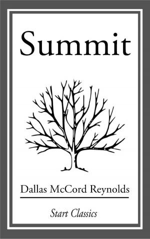 Cover of the book Summit by John Michael Sharkey