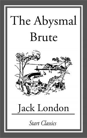 Book cover of The Abysmal Brute