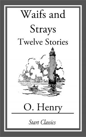 Cover of the book Waifs and Strays by Joni McLachlan