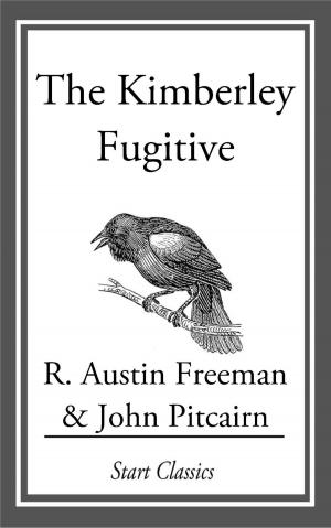 Book cover of The Kimberley Fugitive