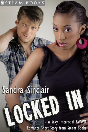 Cover of the book Locked In - A Sexy Interracial BWWM Romance Short Story from Steam Books by Jolie James, Steam Books