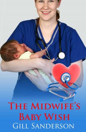 Cover of the book Midwife's Baby Wish by Catrin Collier