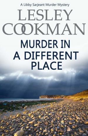 Book cover of Murder in a Different Place
