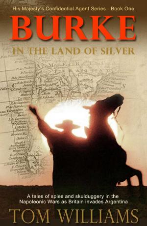 Cover of the book Burke in the Land of Silver by Gill Sanderson