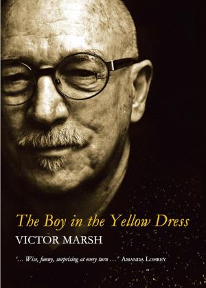 Cover of The Boy in the Yellow Dress