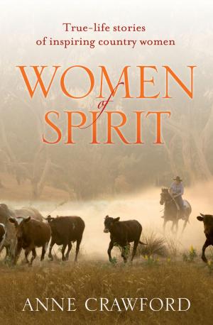 Cover of the book Women of Spirit by Joanne Ailwood, Wendy Boyd, Maryanne Theobald