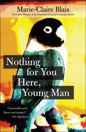 Book cover of Nothing for You Here, Young Man