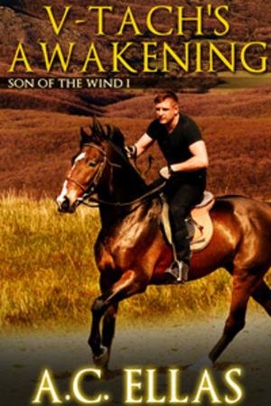 Cover of the book V-Tach's Awakening by Trace Edwards