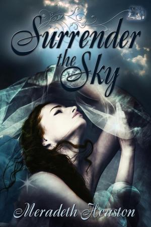 bigCover of the book Surrender the Sky by 