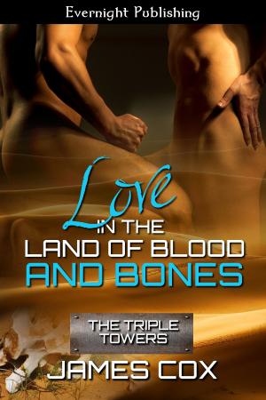 Cover of the book Love in the Land of Blood and Bones by Angelique Voisen