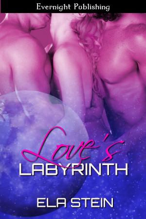 Cover of the book Love's Labyrinth by Lucy Felthouse, Victoria Blisse
