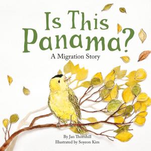bigCover of the book Is This Panama? by 