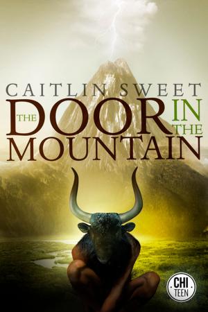 Cover of the book The Door in the Mountain by Geoff Ryman