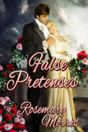 Cover of the book False Pretenses by Rosemary Morris