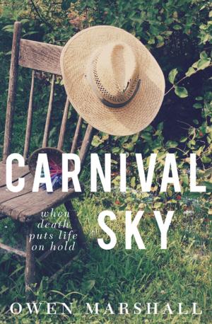 Book cover of Carnival Sky