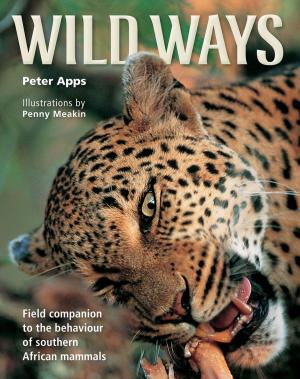 Cover of the book Wild Ways by Marita van Aswegen