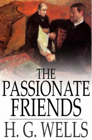 Cover of the book The Passionate Friends by Yoritomo-Tashi, B. Dangennes